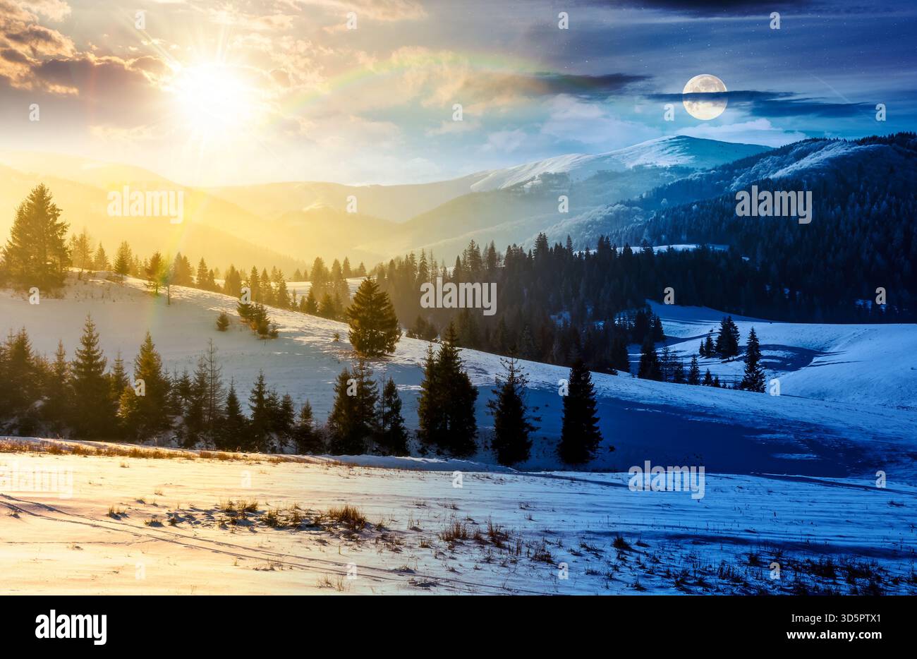 spruce forested hills of mountain ridge in winter. day and night time change concept. gorgeous nature scenery with snow covered hillside and meadows w Stock Photo
