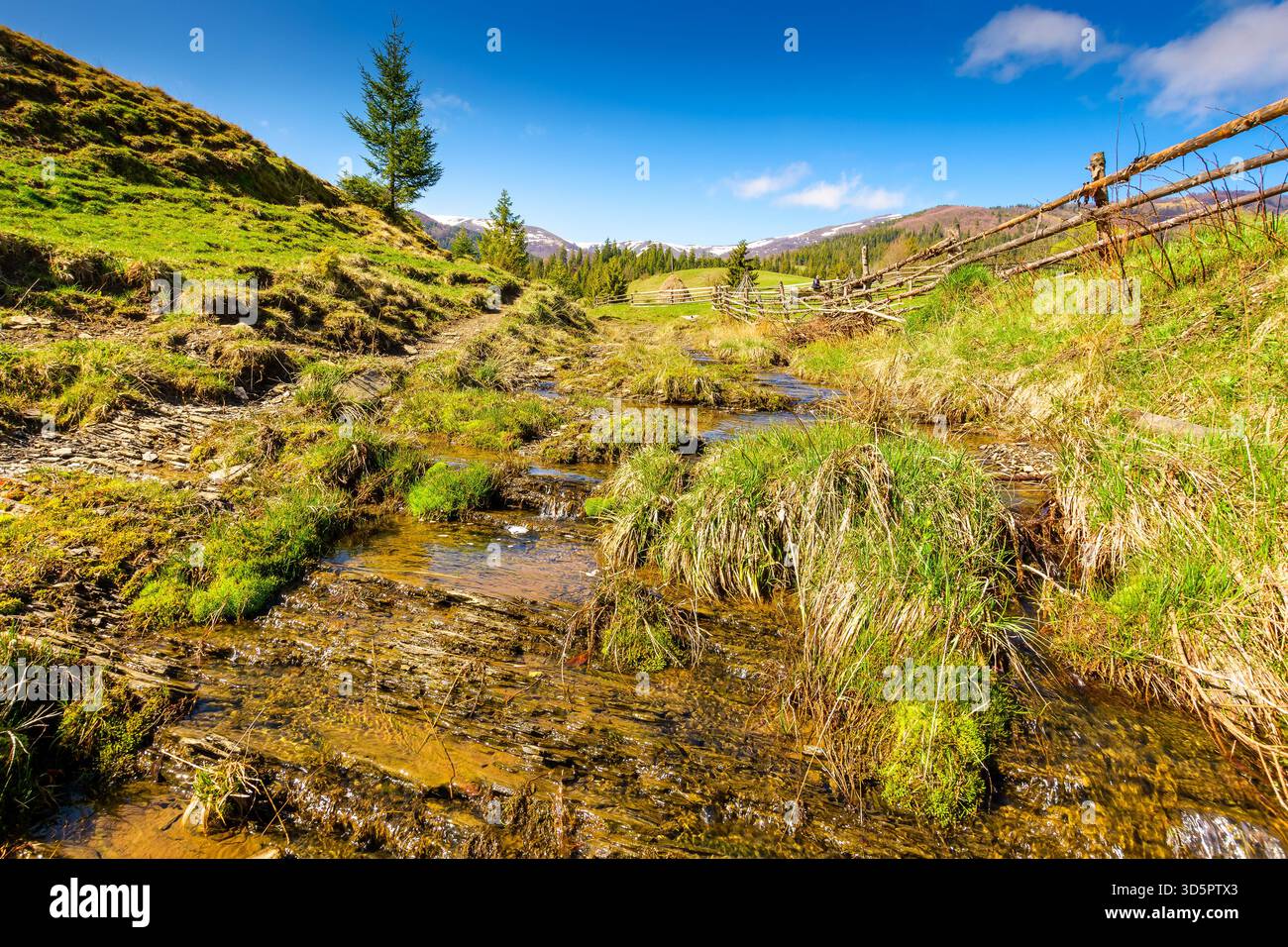rural scene of carpathian mountain landscape in spring. green countryside with forested hills. sunny morning near podobovets village in ukraine. beaut Stock Photo