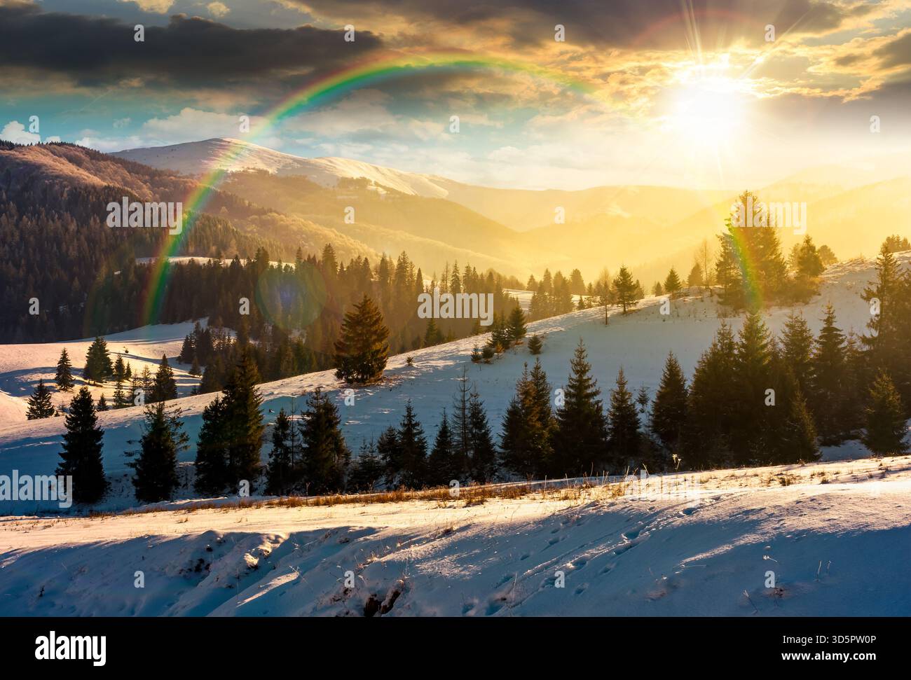 spruce forested hills of mountain ridge in winter at sunset. gorgeous nature scenery with snow covered hillside and meadows in evening light. leadersh Stock Photo