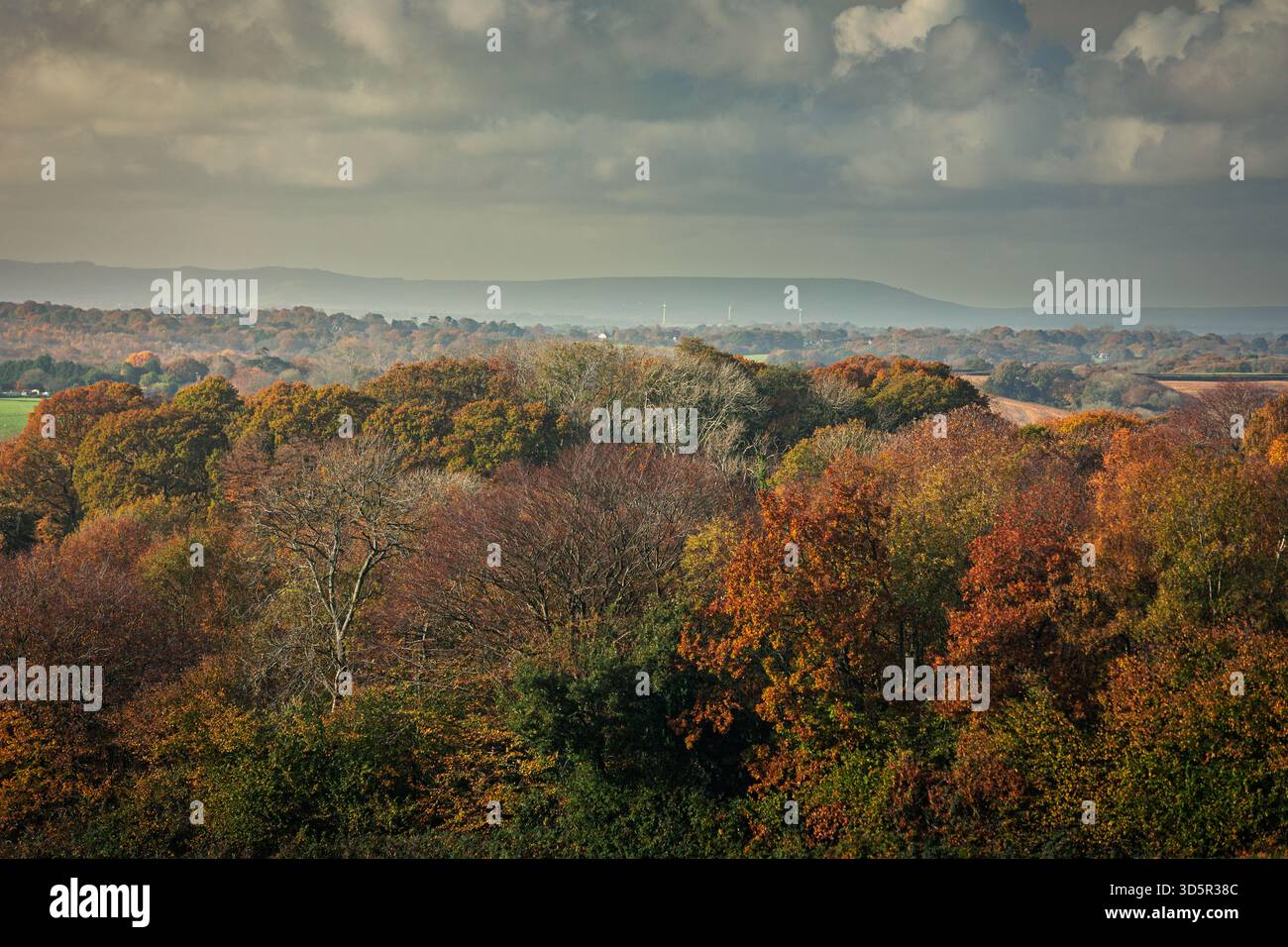 Autumn view over the high weald to the south downs from Crowhurst east Sussex south east England UK Stock Photo