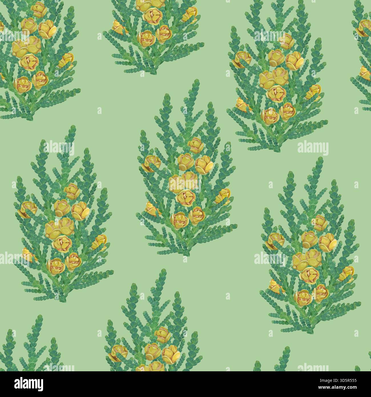 Seamless pattern with thuja branches and cones on a green background Stock Vector