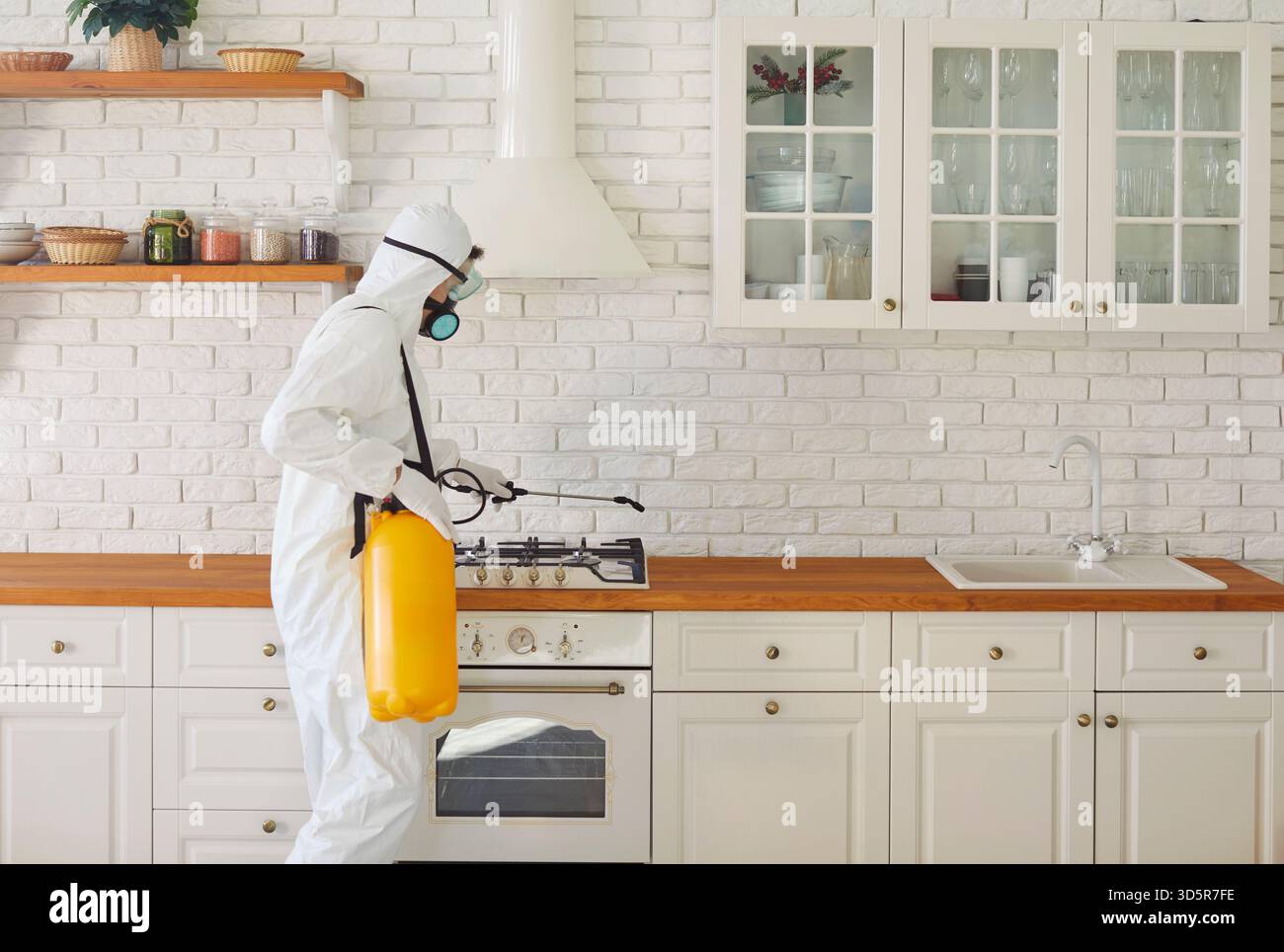 Pest exterminator, professional disinfection service, pest control for cockroaches, bedbugs Stock Photo