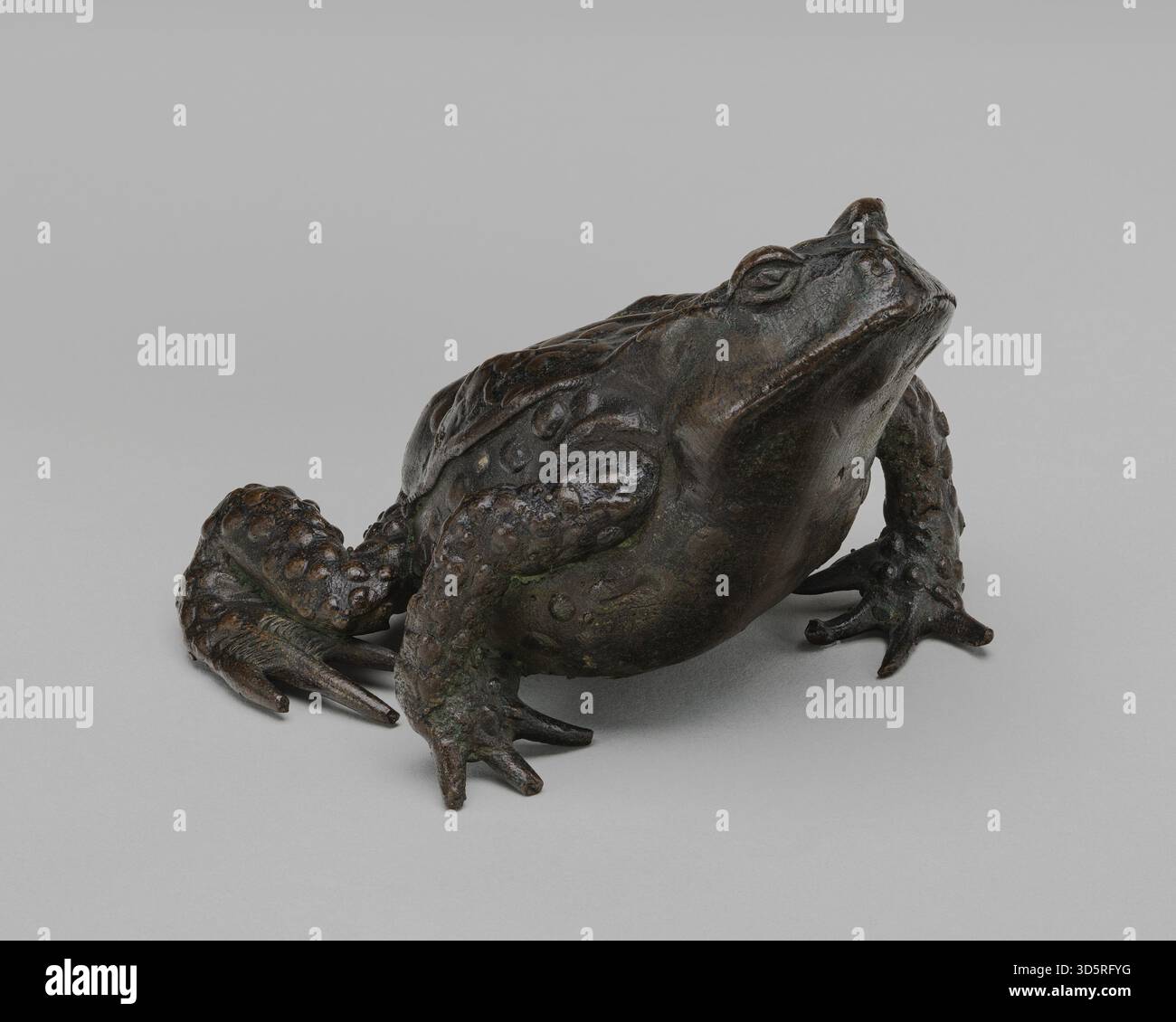An early 16th-century Paduan depiction of a single toad, showing ...