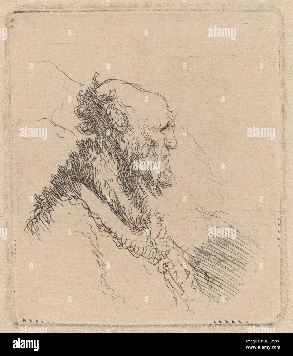 This portrait by Rembrandt shows a bald old man with a short beard in ...