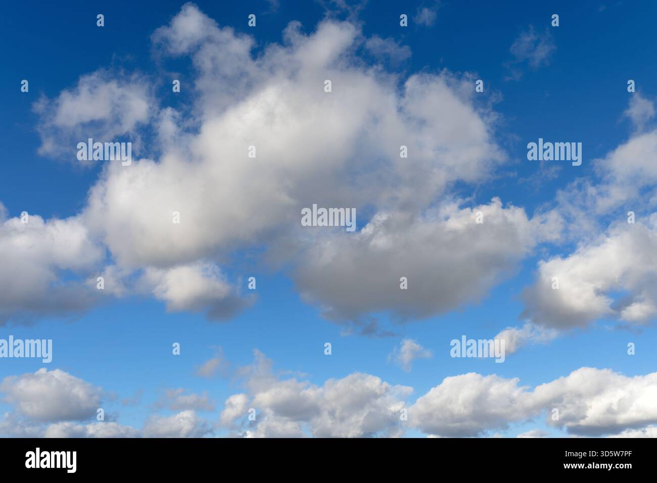 White cumulus clouds drifting across a blue sky Stock Photo