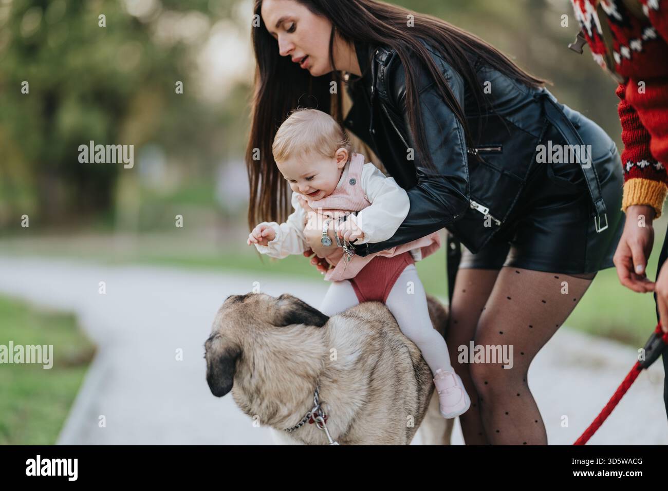Mother and friends help baby ride a large dog in a park during a ...