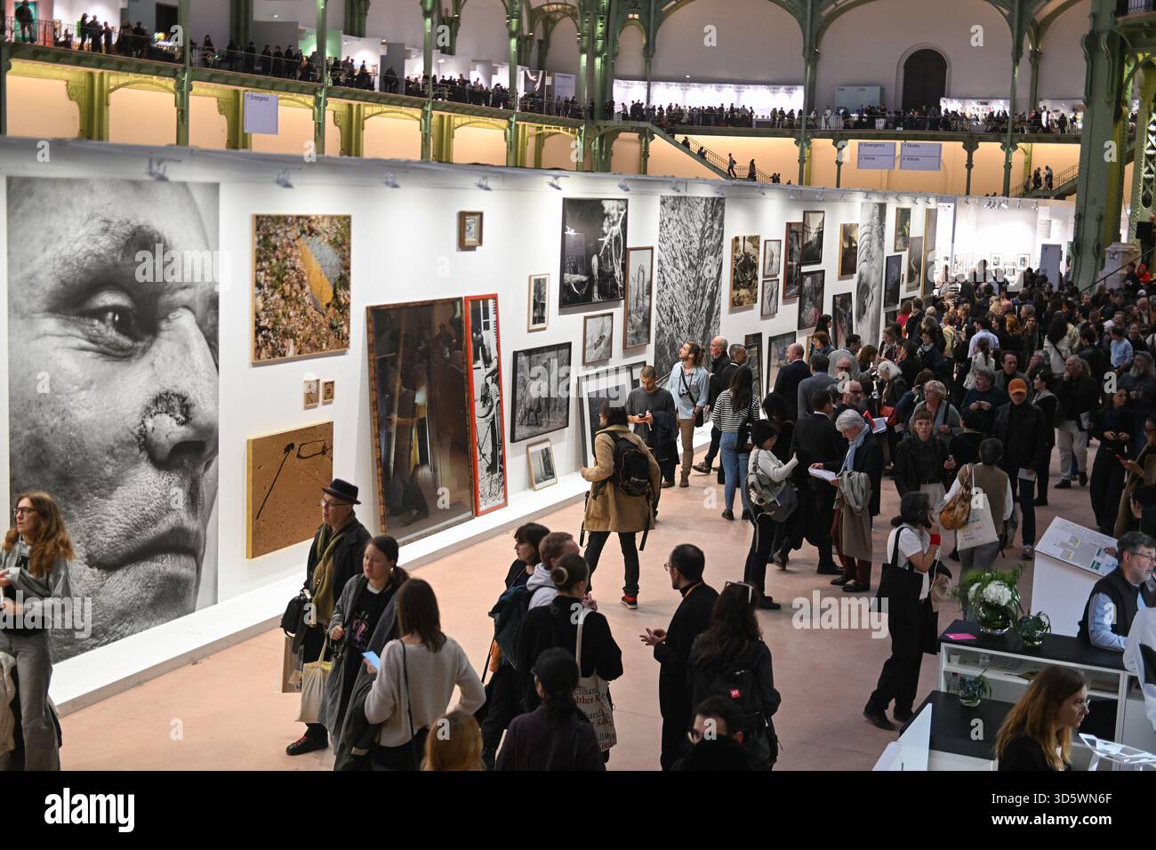paris-photo-photography-exhibition-is-held-at-the-grand-palais-in-paris