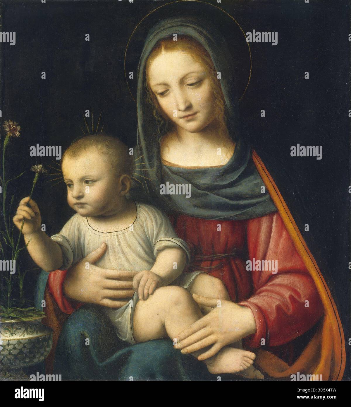 The Madonna of the Carnation, painted by Bernardino Luini circa 1515 ...