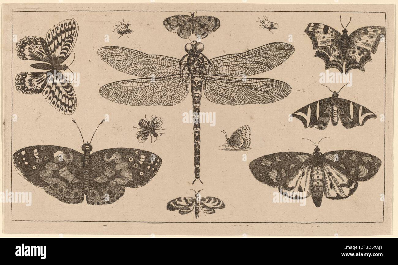 Organic Insect Form Forms of plant anatomy hi-res stock photography and images - Alamy