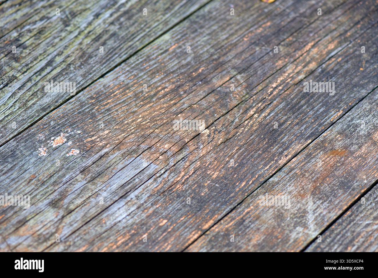 Old wooden wall background/ Selective focus Stock Photo