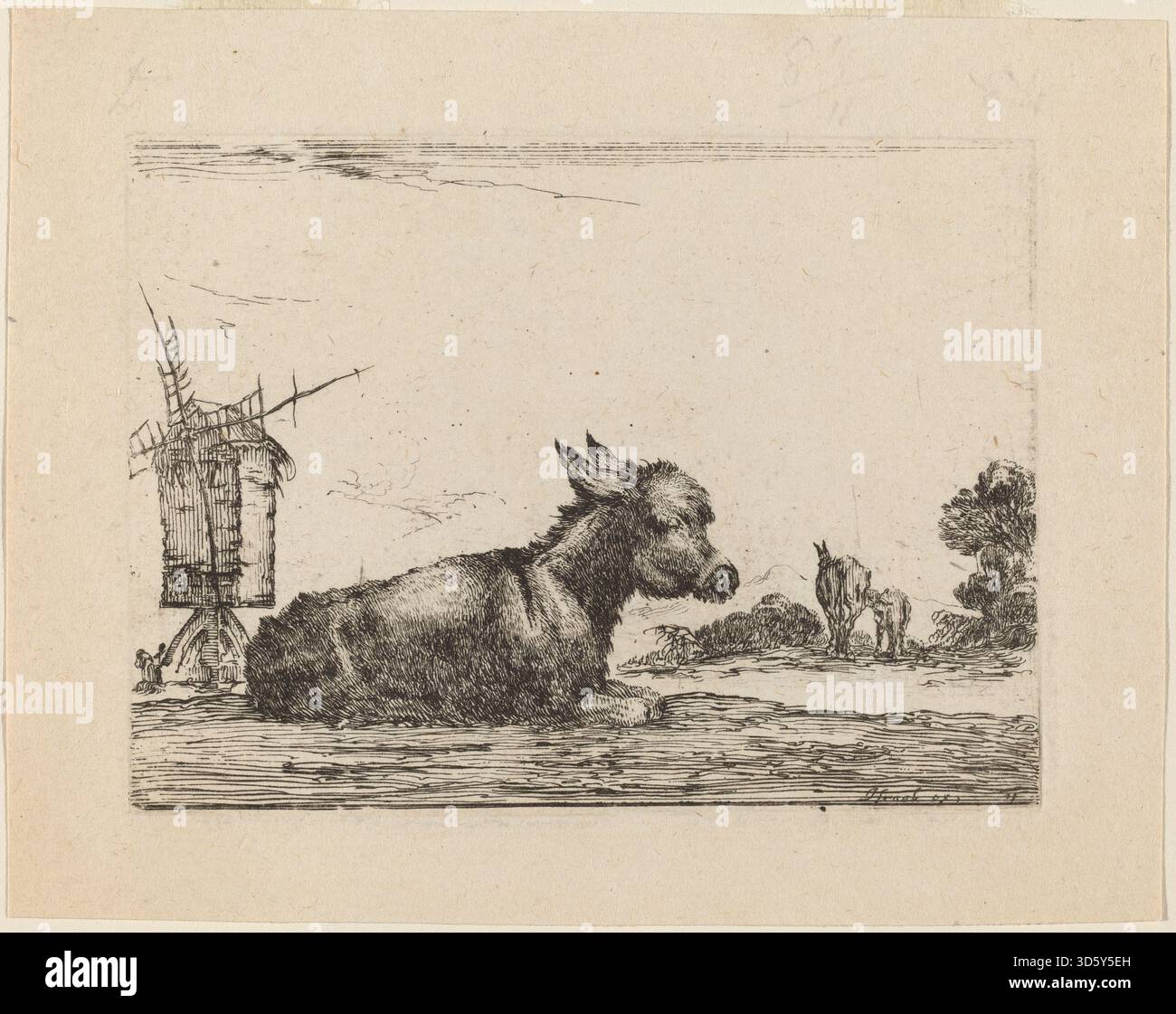 This print depicts a donkey resting, showing posture, anatomy, fur ...