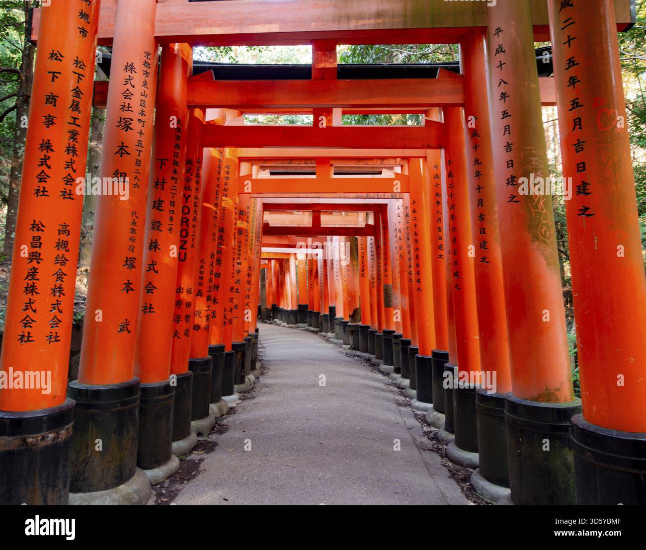 Okusha Walk through hundreds of red traditional torii gates, Fushimi Inari ...
