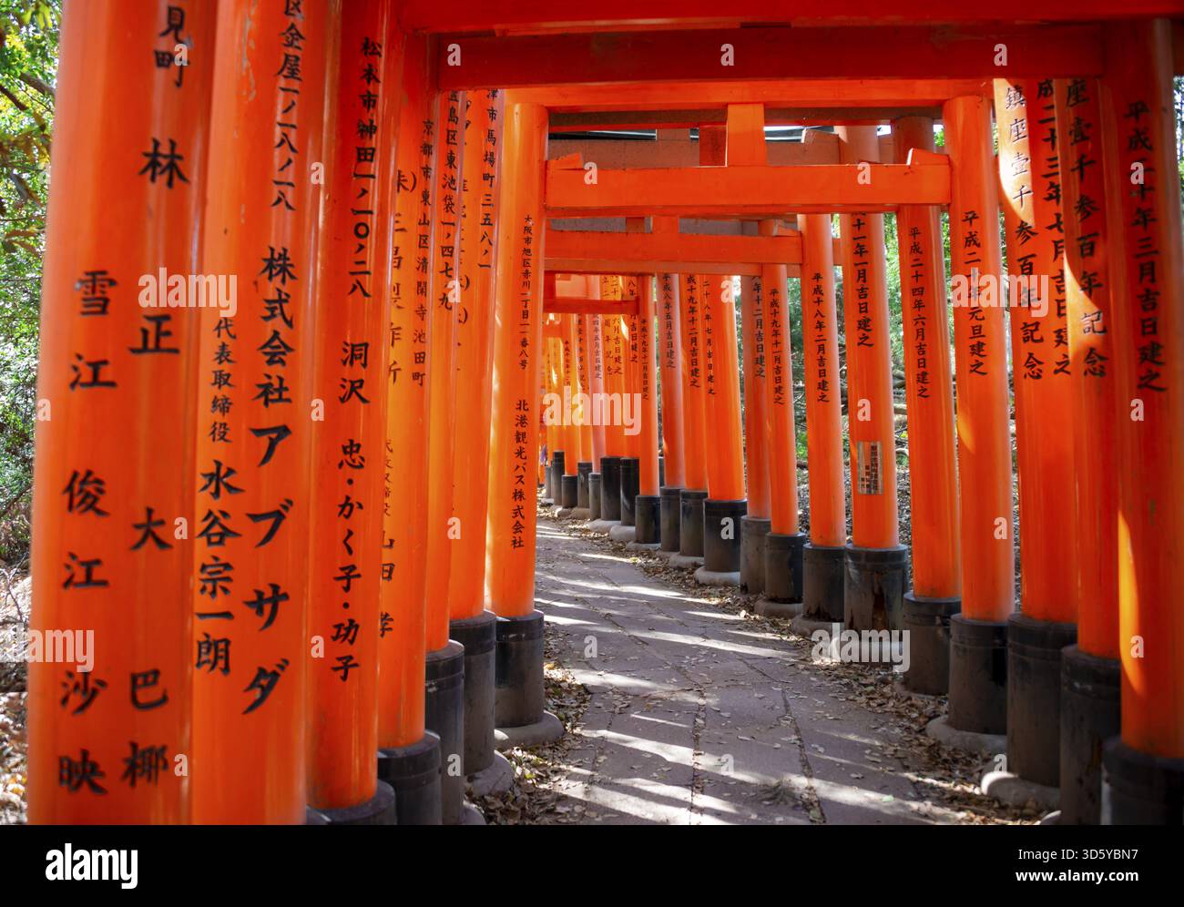 Okusha Walk through hundreds of red traditional torii gates, Fushimi Inari ...