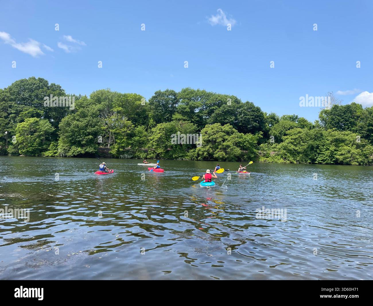 Brightly colored kayakers paddle about on a sunny, summer day. Calm water in the foreground, kayakers and trees in the middleground, with blue skies. - Smartphone Captured Stock Image