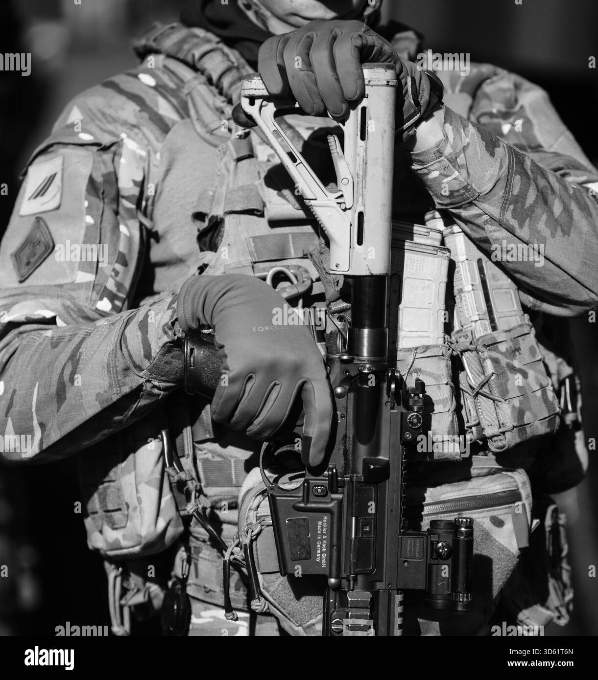 French army insignia Black and White Stock Photos & Images - Alamy
