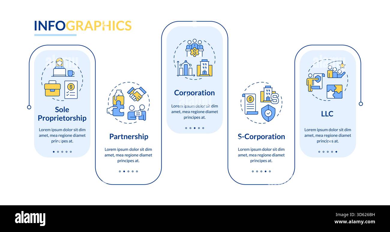 Business structures rectangle infographic vector Stock Vector Image ...