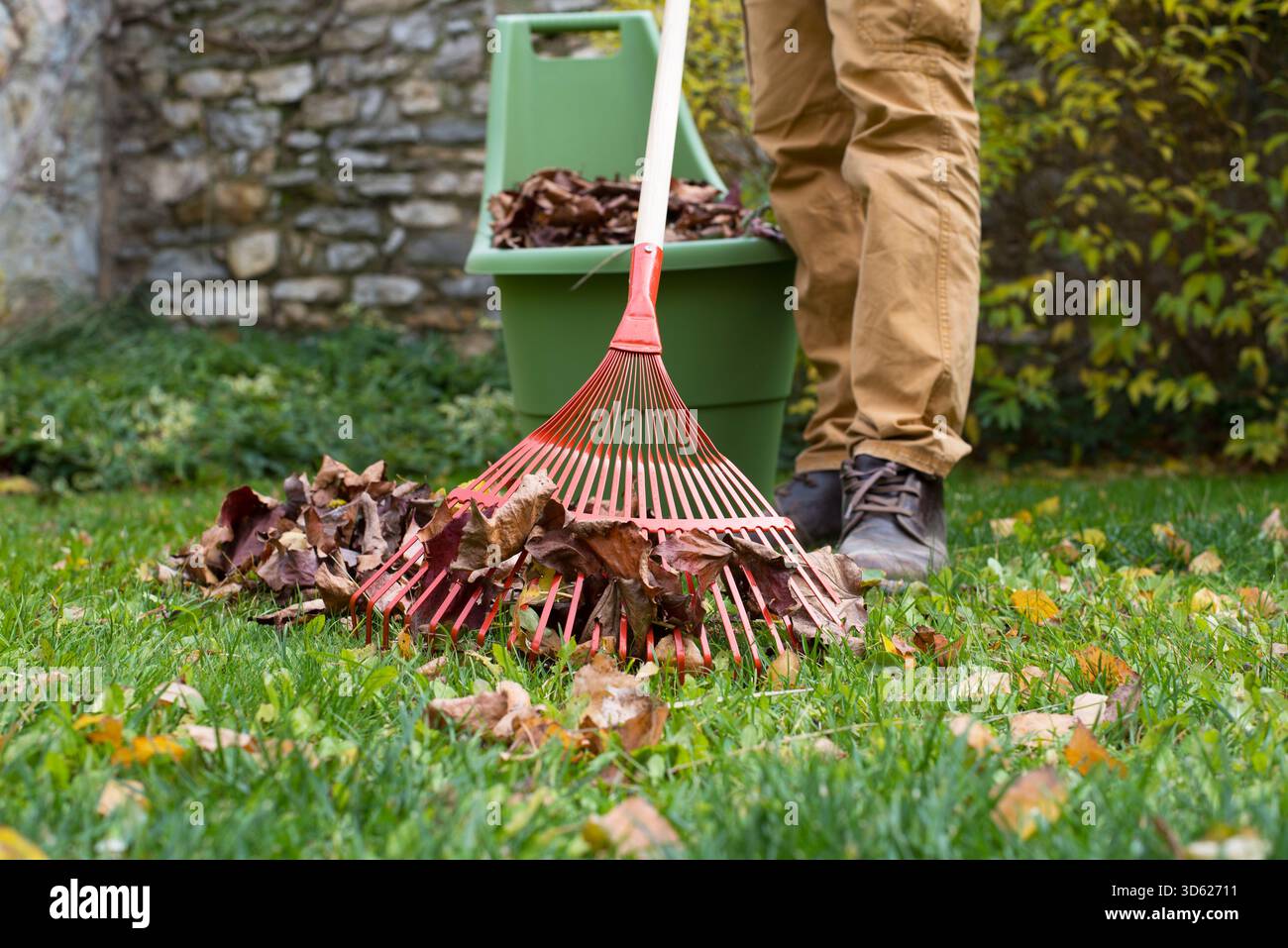 Autumn garden works, raking leaves Stock Photo - Alamy