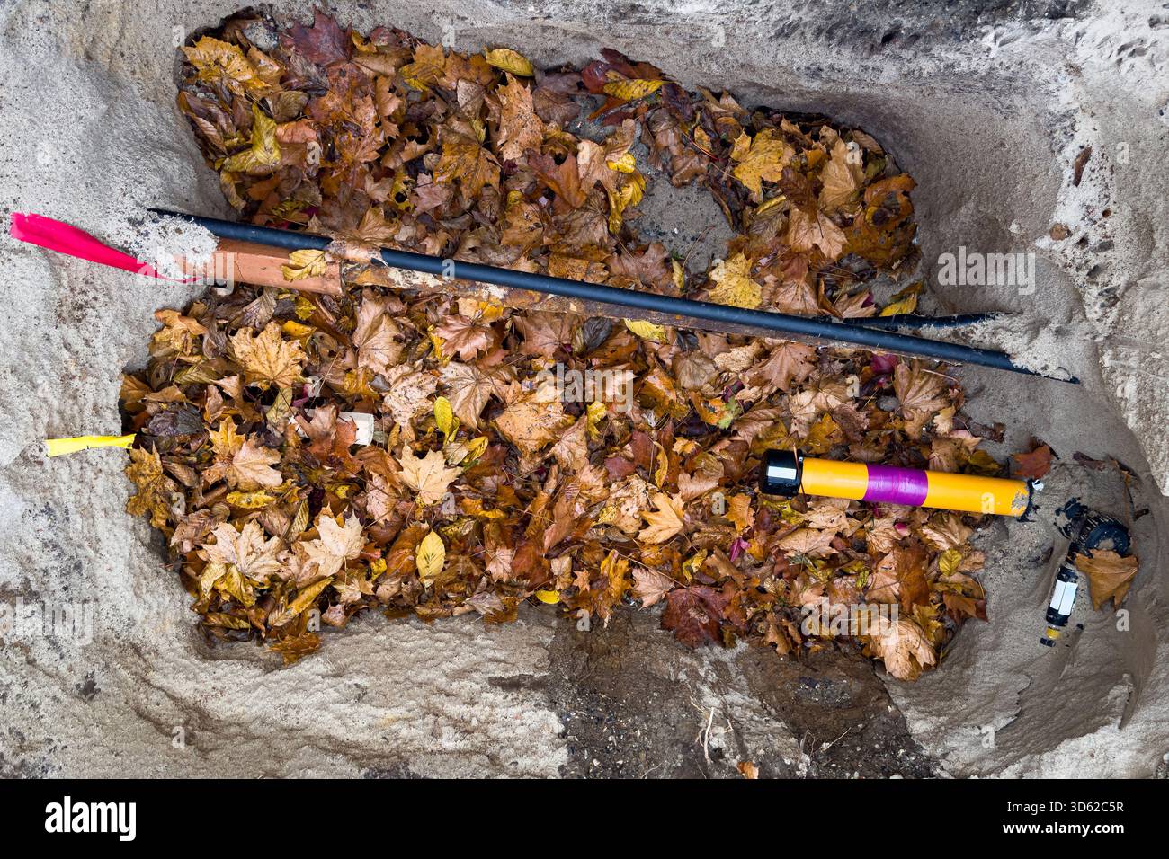 Construction site showing an open trench filled with autumn leaves and ...