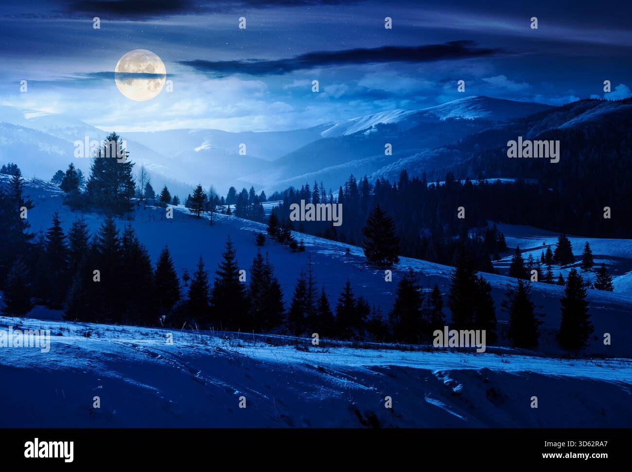spruce forest on snow covered hills at night. rolling winter landscape in mountains in full moon light. finance investment or abstract concepts Stock Photo