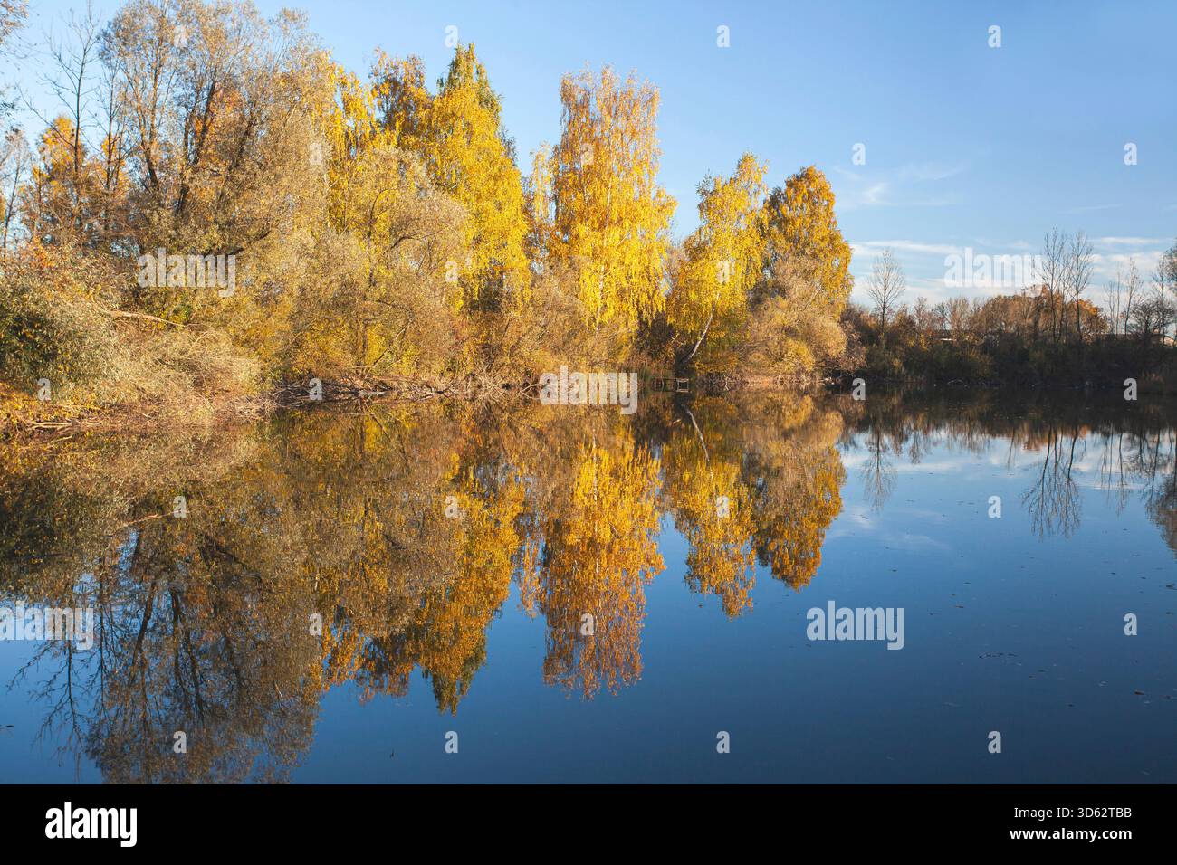, autumnal trees reflected in the water, Germany, Bavaria Stock Photo ...