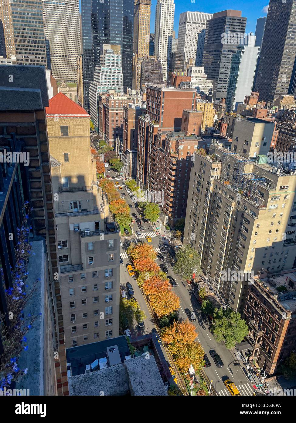 High angle view of Park Avenue in Murray Hill with bright orange autumn foliage in the median, 2025, New York City, United States - Smartphone Captured Stock Image