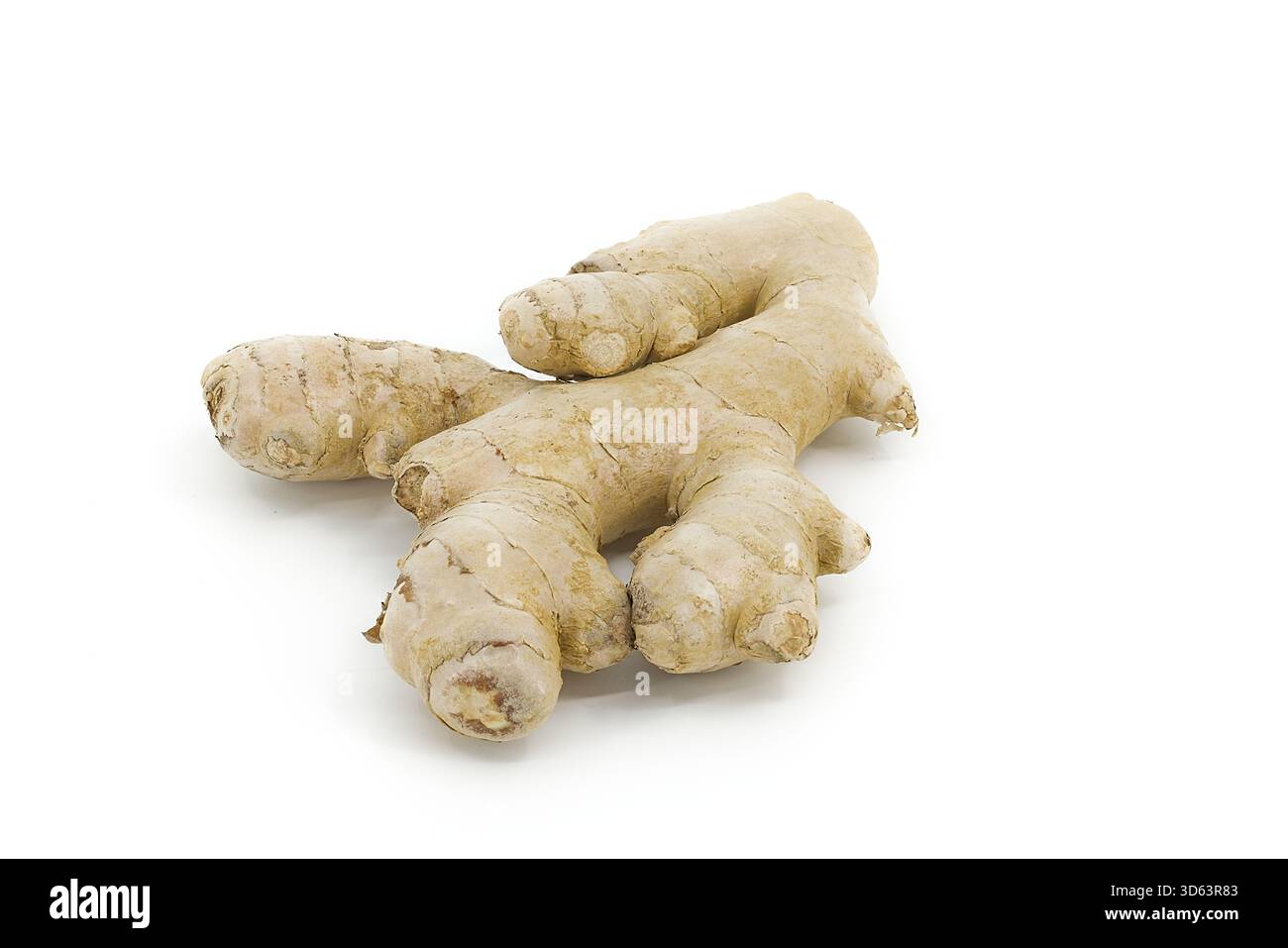 Fresh ginger root photographed against a plain white backdrop, showing intricate patterns and rough skin texture. Ideal for culinary, botanical, or he Stock Photo