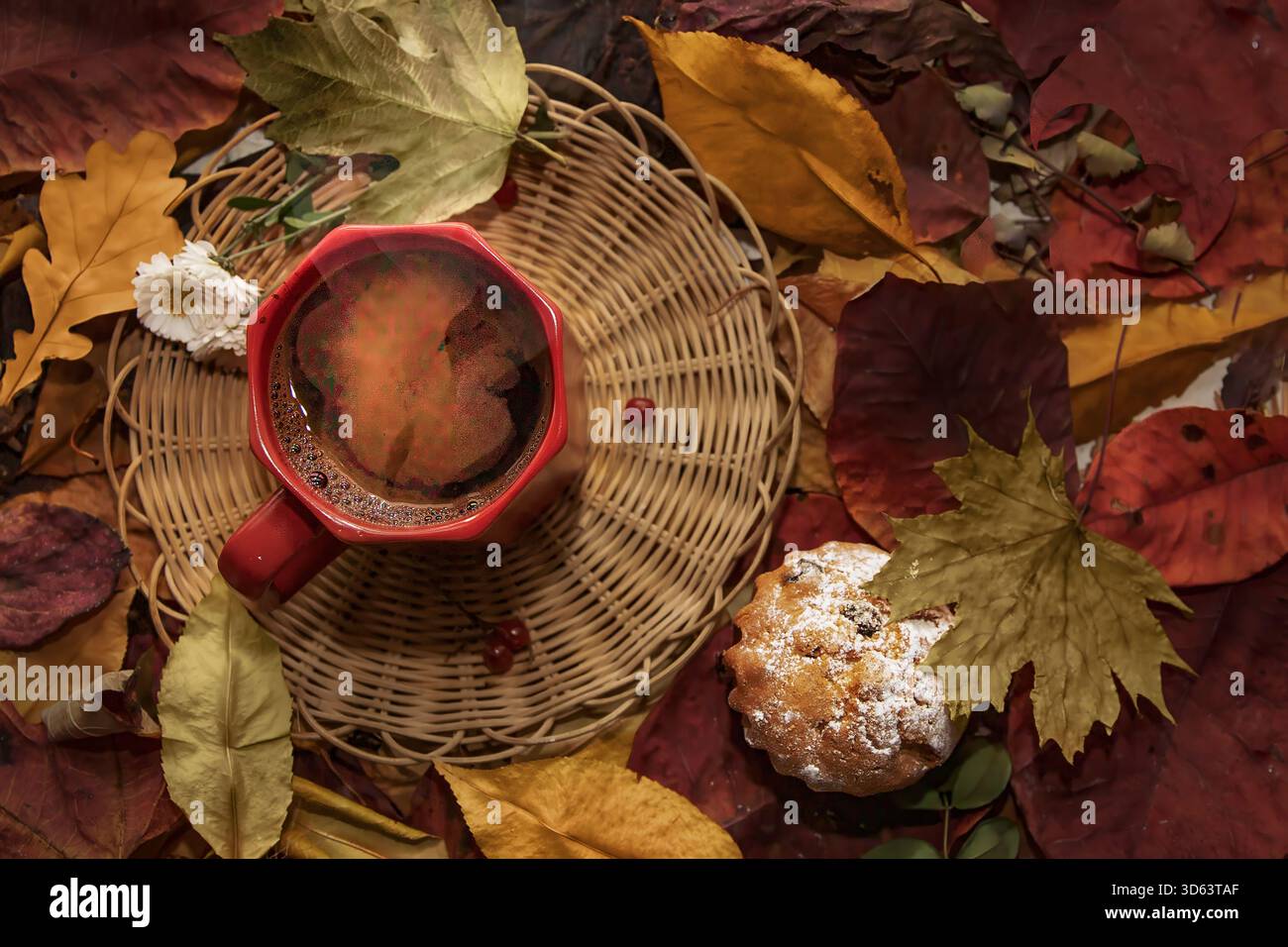 Autumn coffee cup with muffin on colorful fall leaves seasonal cozy ...