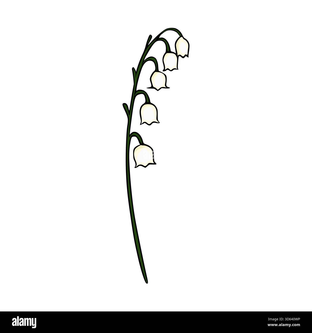 Delicate white lily of the valley flowers vector illustration with ...