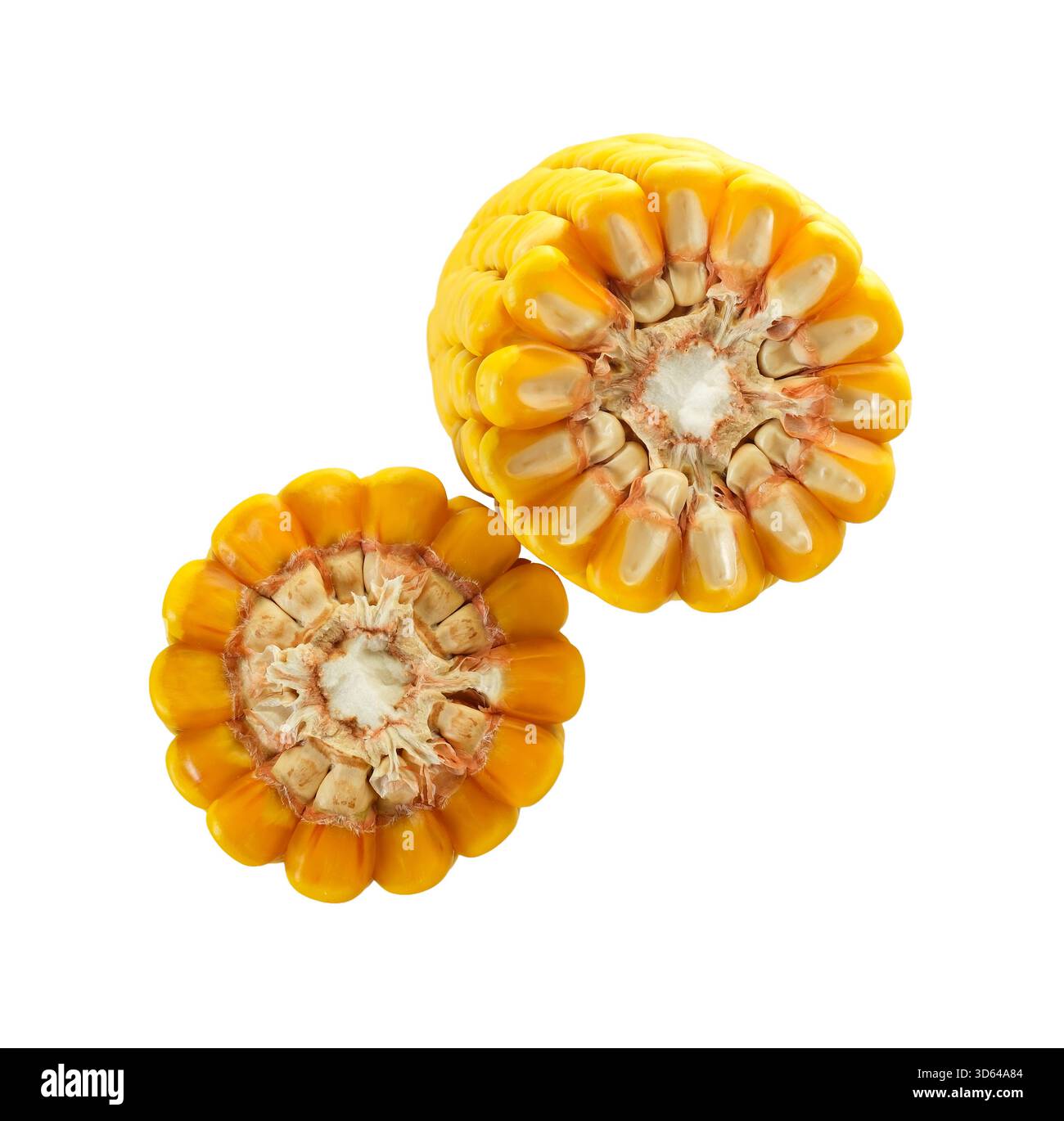 Broken corn cob isolated on white background. Corn cross-section ...