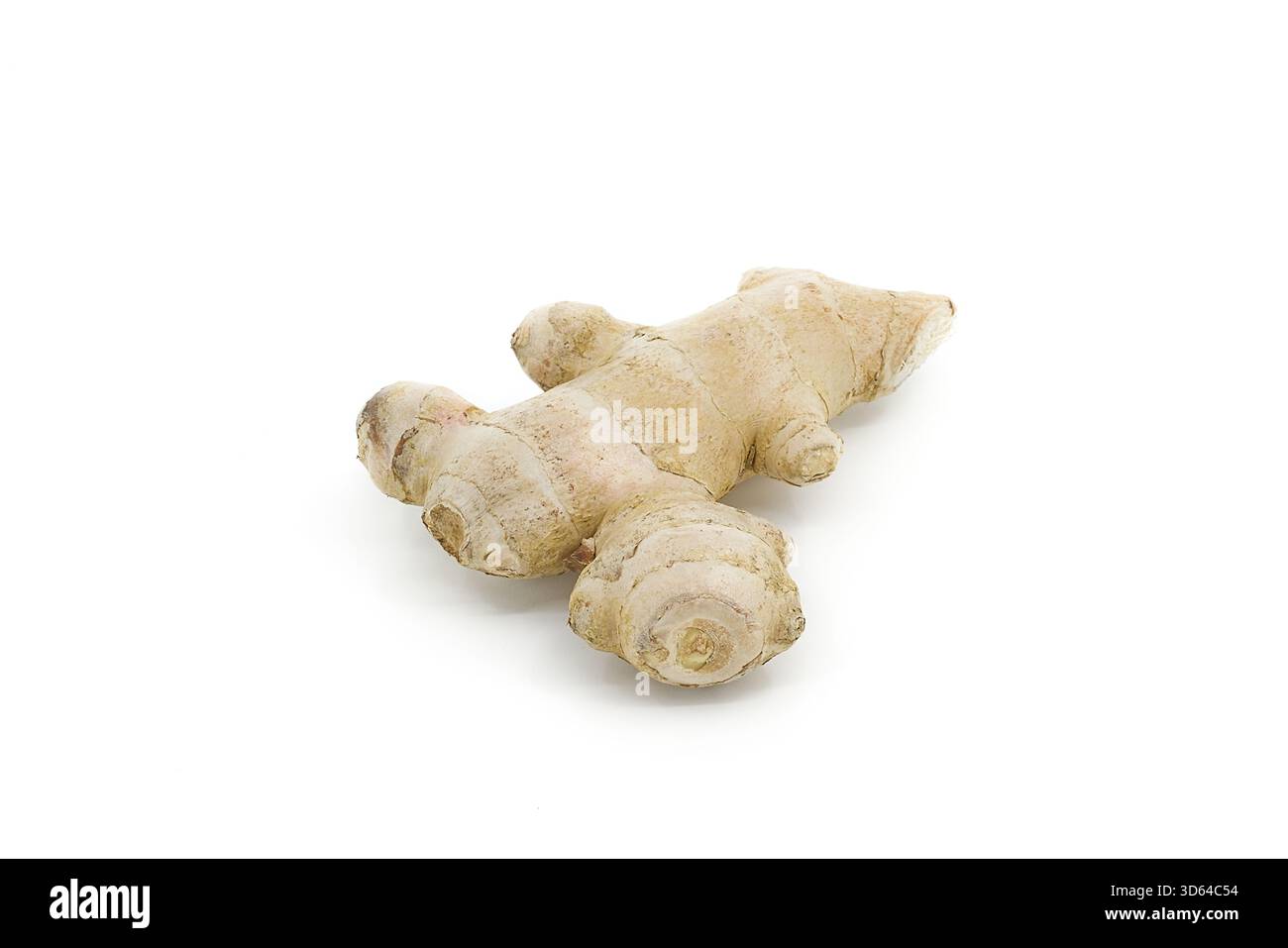 Raw ginger root displayed on white background, emphasizing its organic form and textured surface. Stock Photo