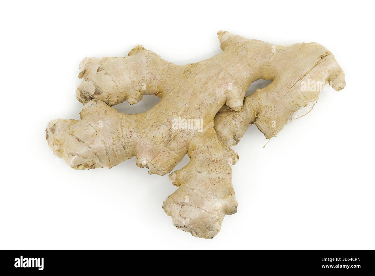 Raw ginger root displayed on white, highlighting rough texture and natural form. Stock Photo