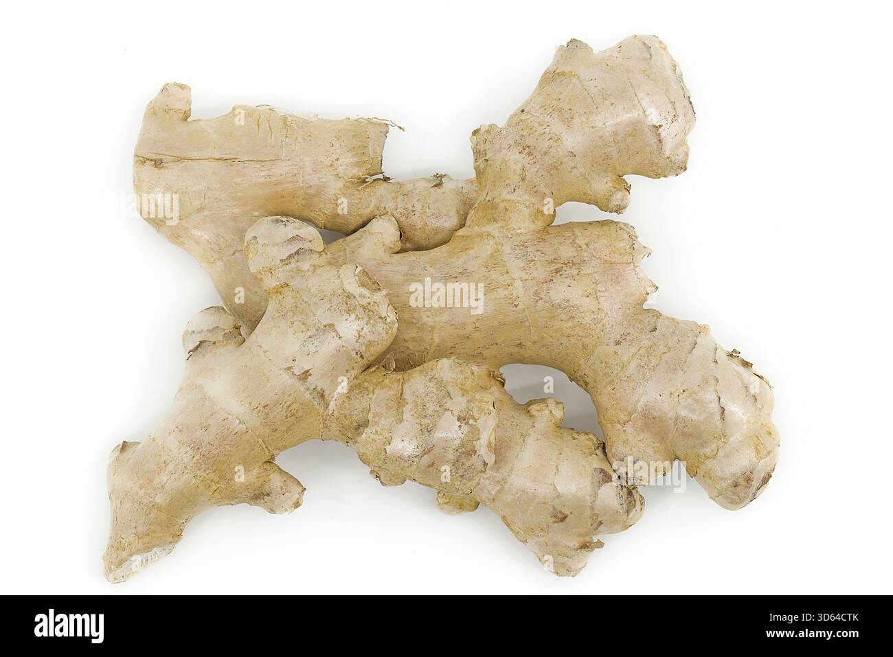 Natural organic shapes hi-res stock photography and images - Alamy