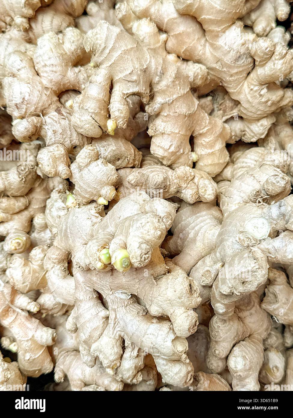 Organic ginger root on display in a market. No people. Backgrounds. - Smartphone Captured Stock Image