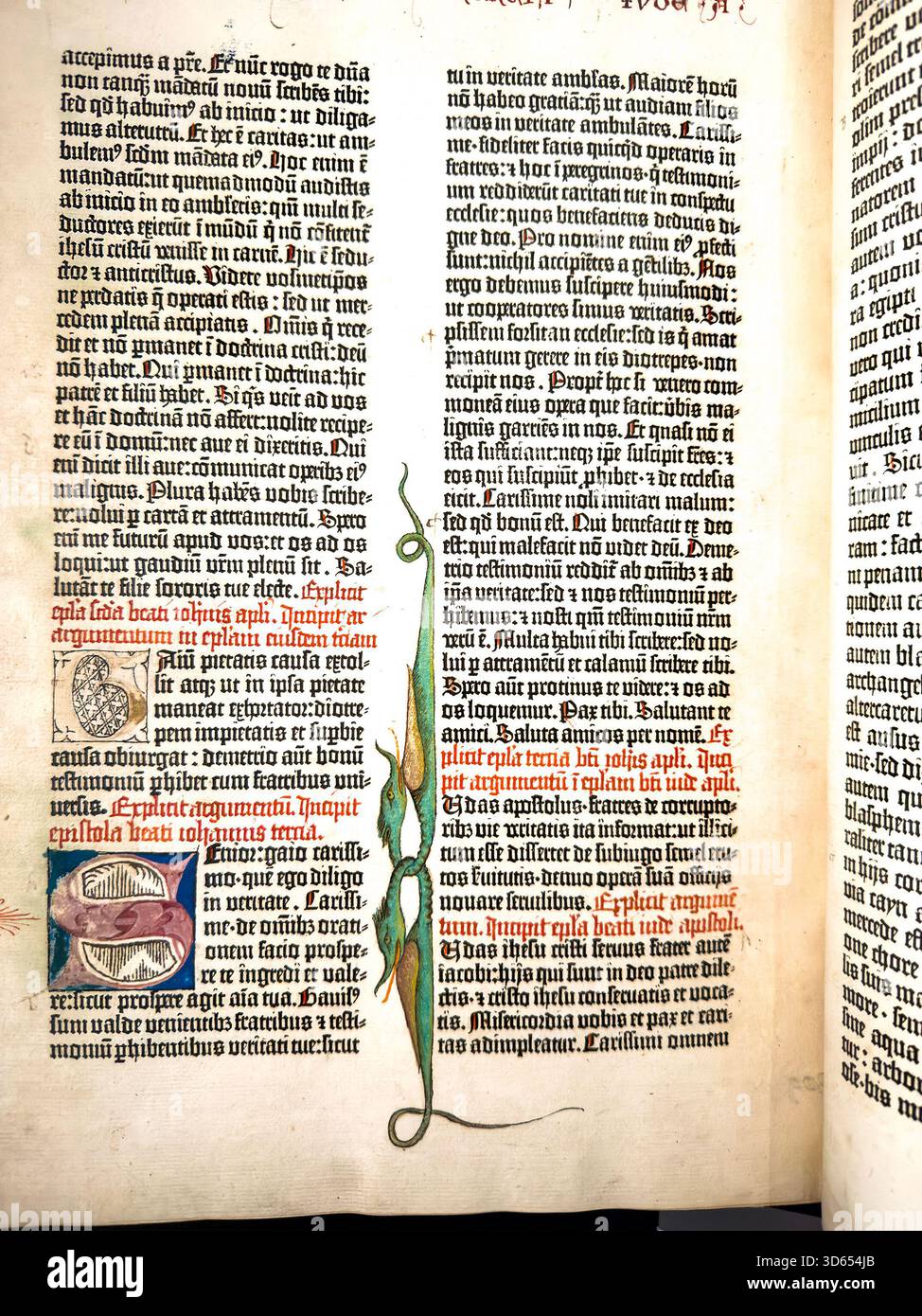 Close-up of a Gutenberg Bible illuminated manuscript page with Latin text, decorative initials and marginal vine illustration in a historical book - Smartphone Captured Stock Image