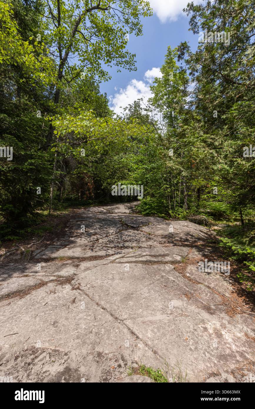 Booth Rock Trail with green forest in Algonquin Park Ontario Stock ...
