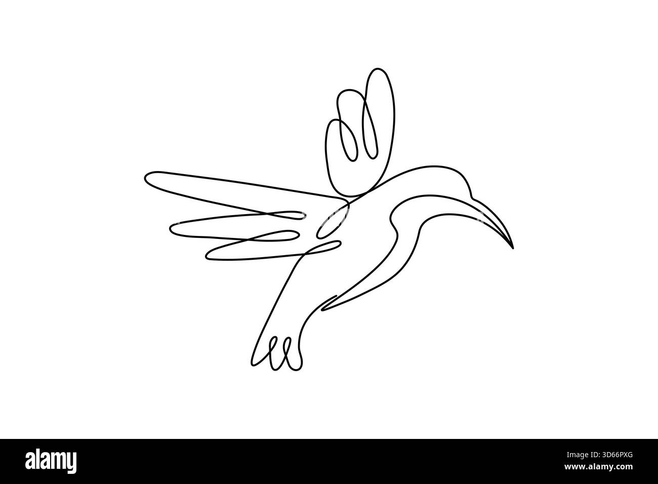 Bird couple continuous one line drawing minimalist outline vector ...