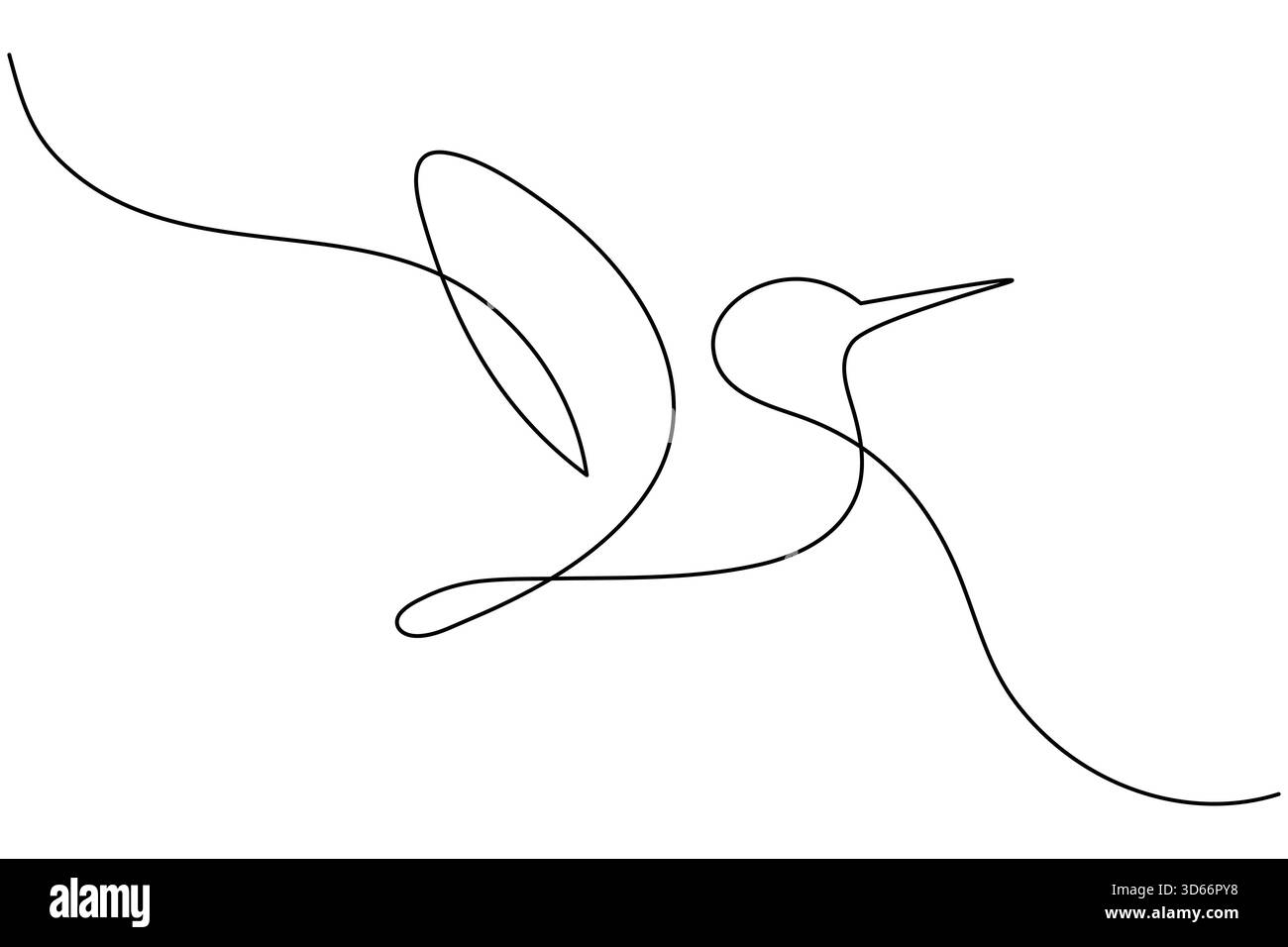 Bird couple continuous one line drawing minimalist outline vector ...