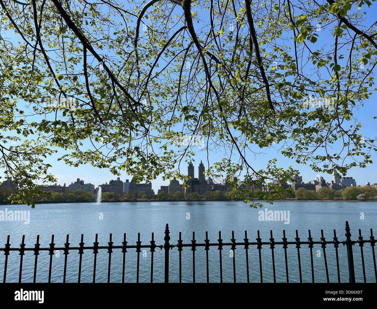 Central Park’s reservoir, a serene mirror of summer’s vibrant green. - Smartphone Captured Stock Image