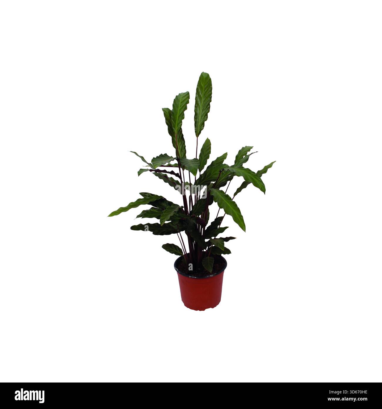 Feng shui house hi-res stock photography and images - Alamy