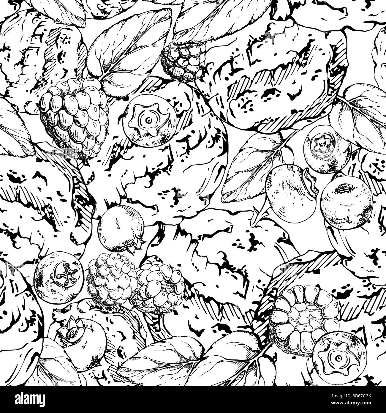 Mint leaf pattern on Black and White Stock Photos & Images - Alamy