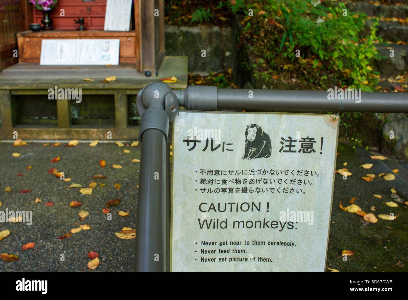 Caution sign warning about wild monkeys, featuring a monkey ...