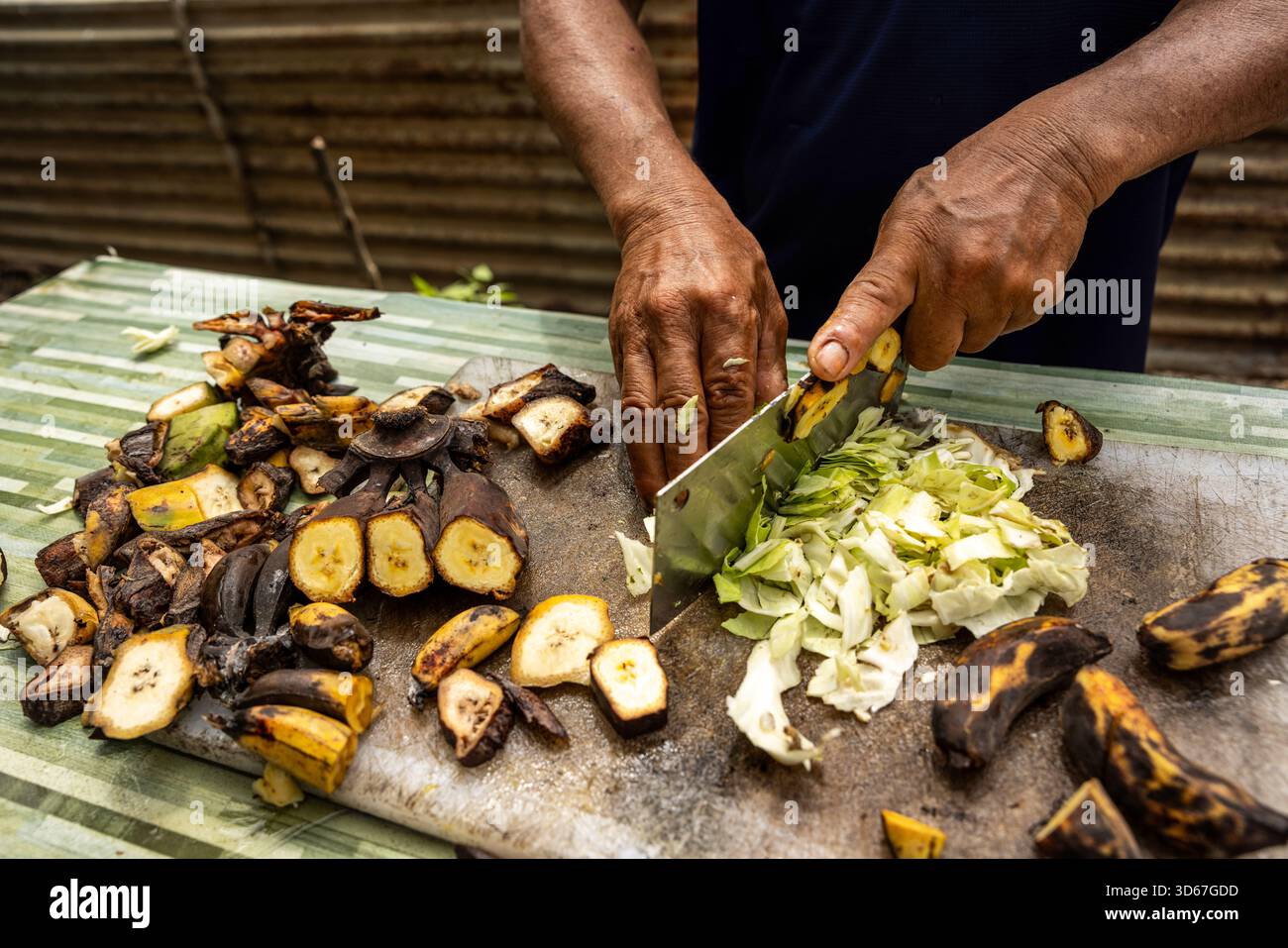 Smallholder farmer Mustin Apong (wearing a helmet) in the Reka Halus ...