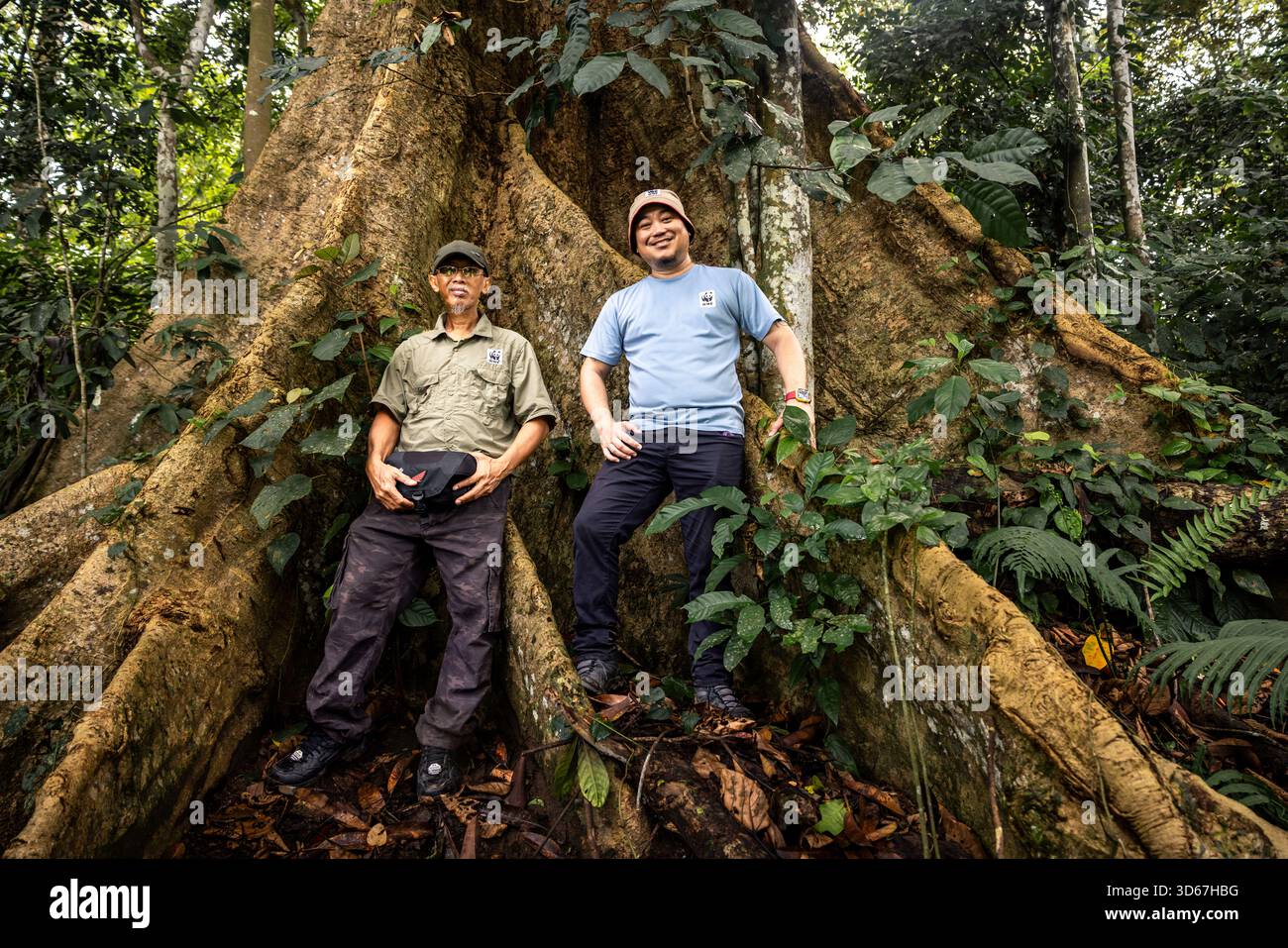 Wwf Ranger WWF ranger William Joseph is on the lookout for orangutans in the Bukit ...