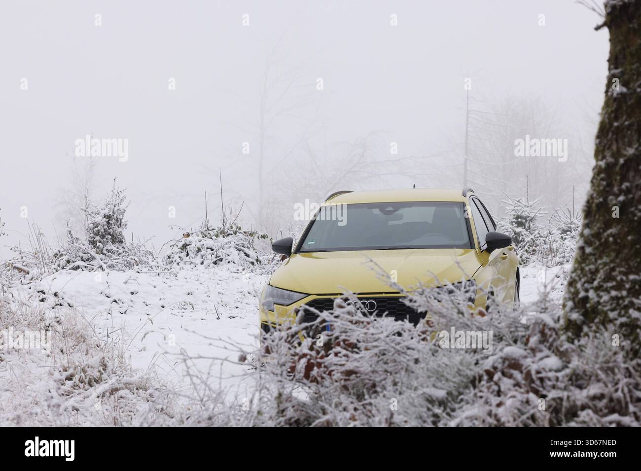 Schne Audi A3 3 Trer Bild