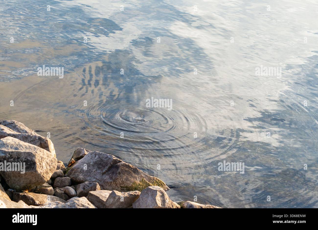 Gentle wave action, rocky shore, and a submerged rock create a ripple ...