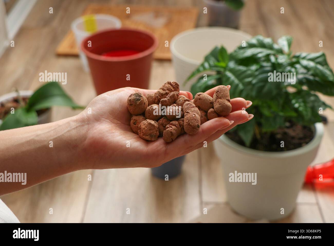 Expanded clay pellets hi-res stock photography and images - Alamy