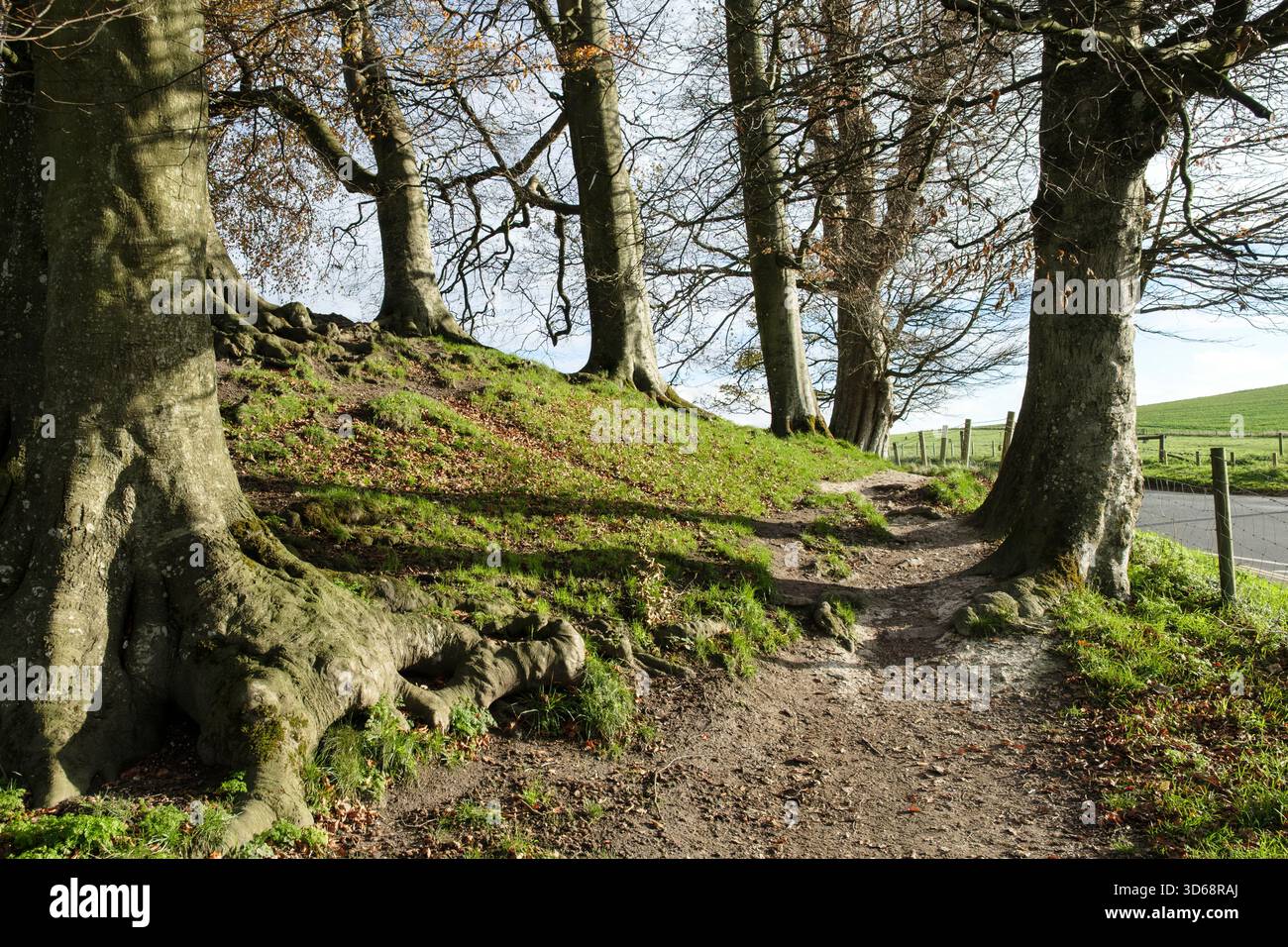 Clear winters day around Avebury Wiltshire village in a neolithic henge Stock Photo