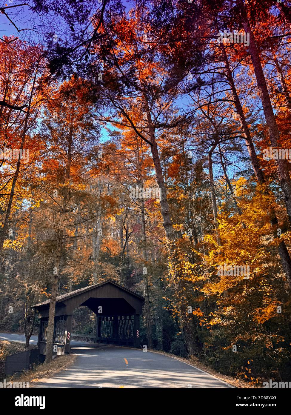 Blue Ridge Mountains - Smartphone Captured Stock Image