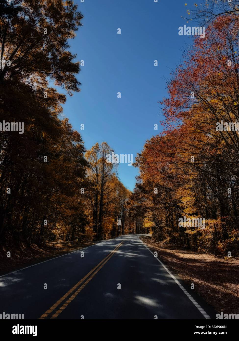 Blue Ridge Mountains - Smartphone Captured Stock Image