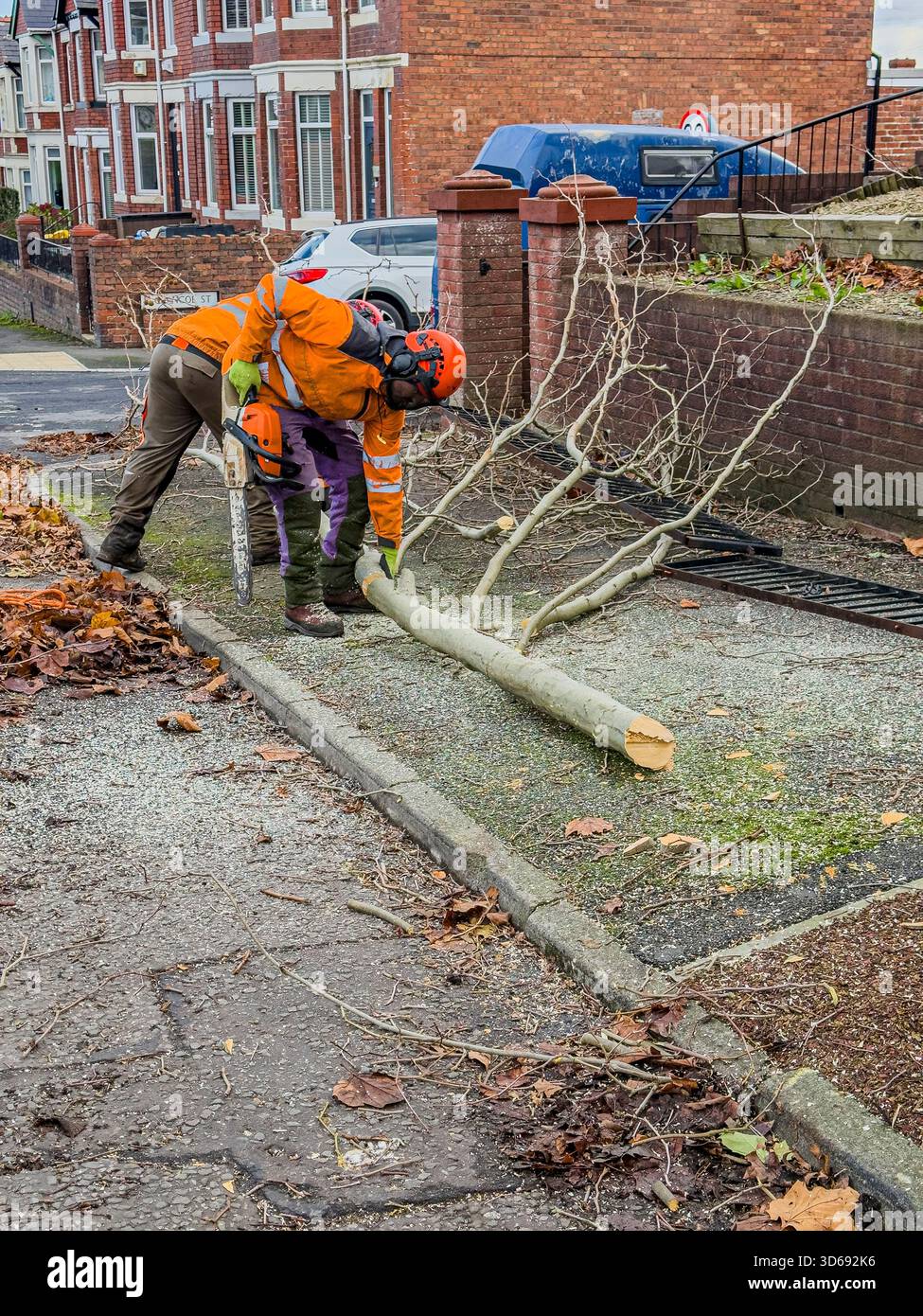 Maintenance of Roadside Trees by Local Authority Workers Along Urban Street, South Wales, UK: Phillip Roberts - Smartphone Captured Stock Image